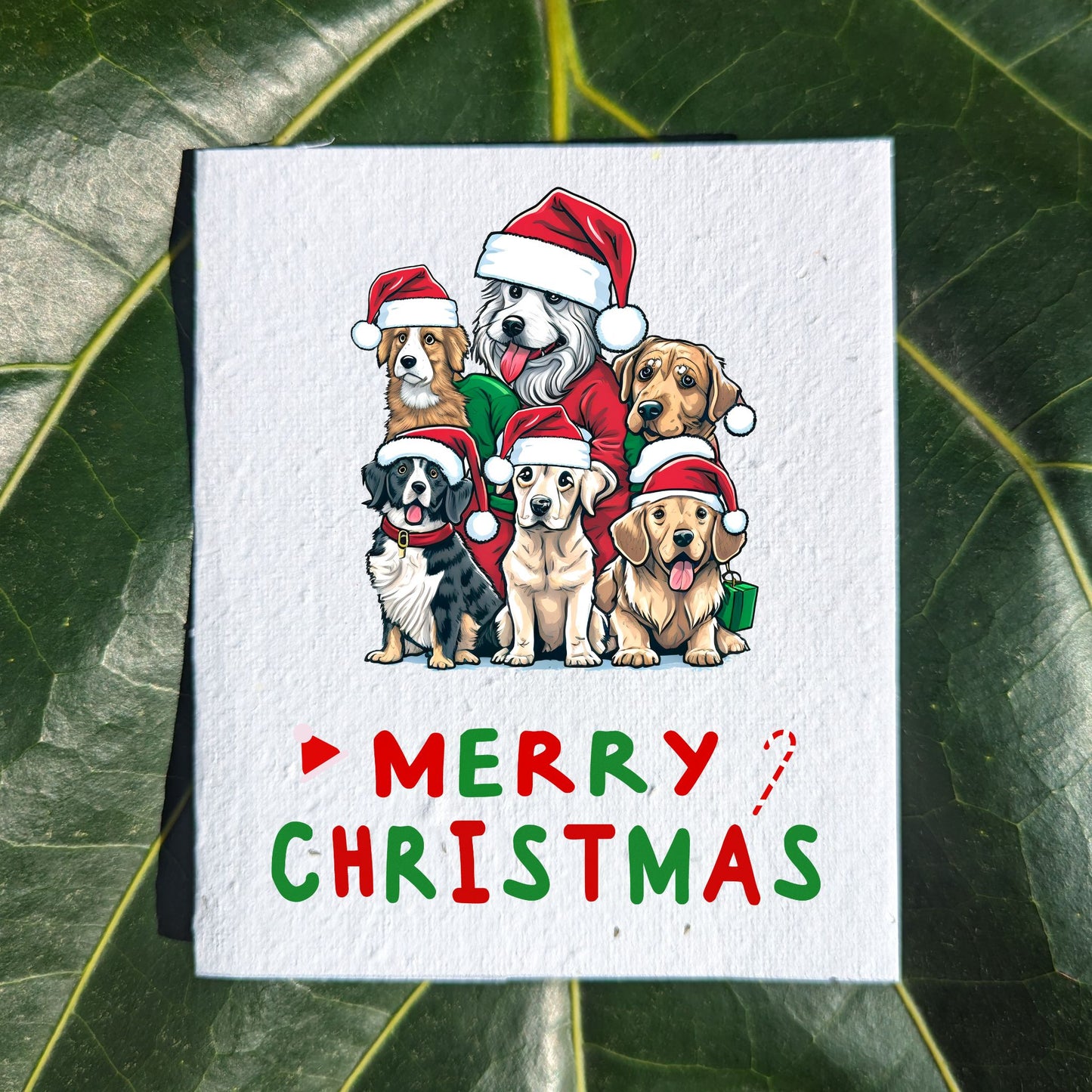 Christmas Card "Doggos"