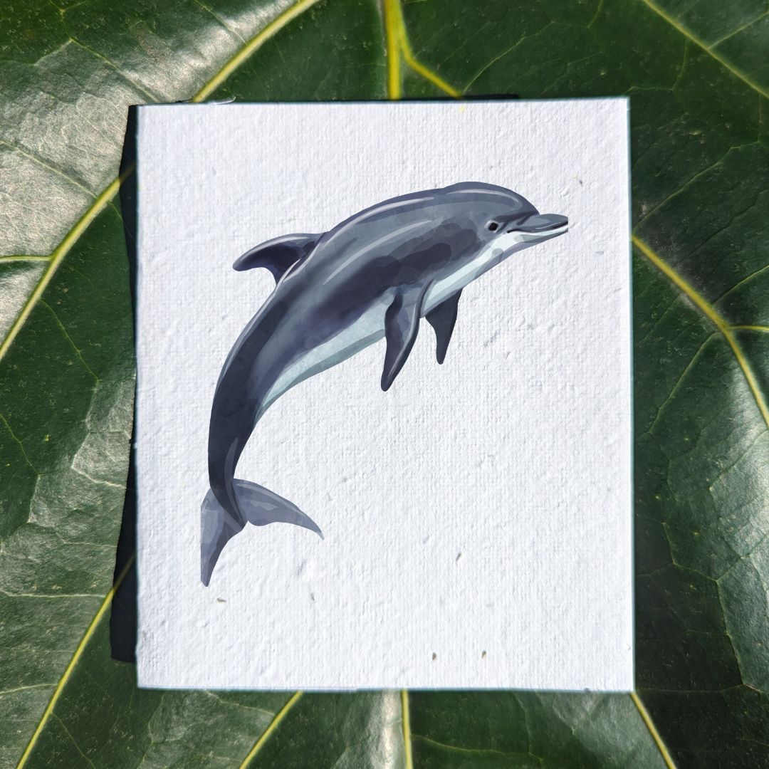 Wildlife card "Dolphin"