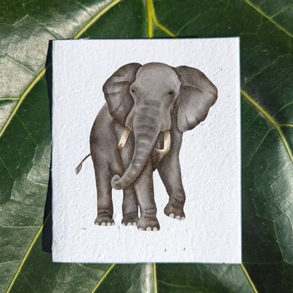 Wildlife card "Elephant"