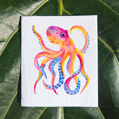 Wildlife card "Octopus"