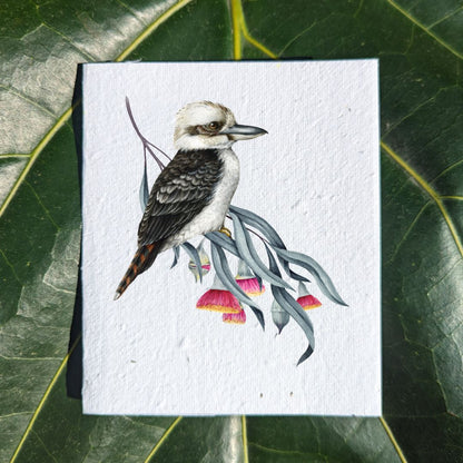 Kookaburra on australian flowers card