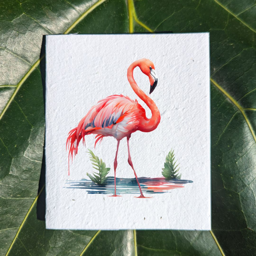 Watercolor flamingo in water on card