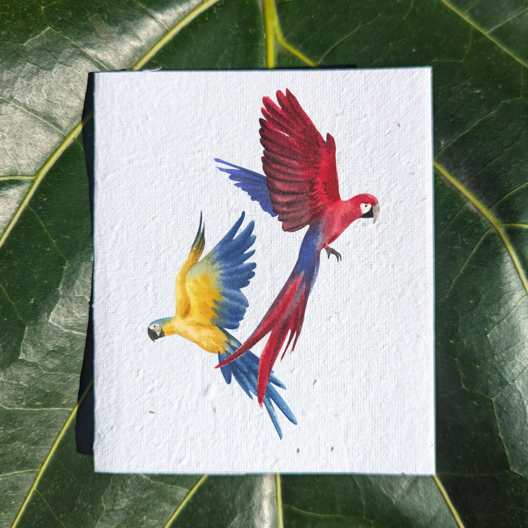 A pair of parrots card