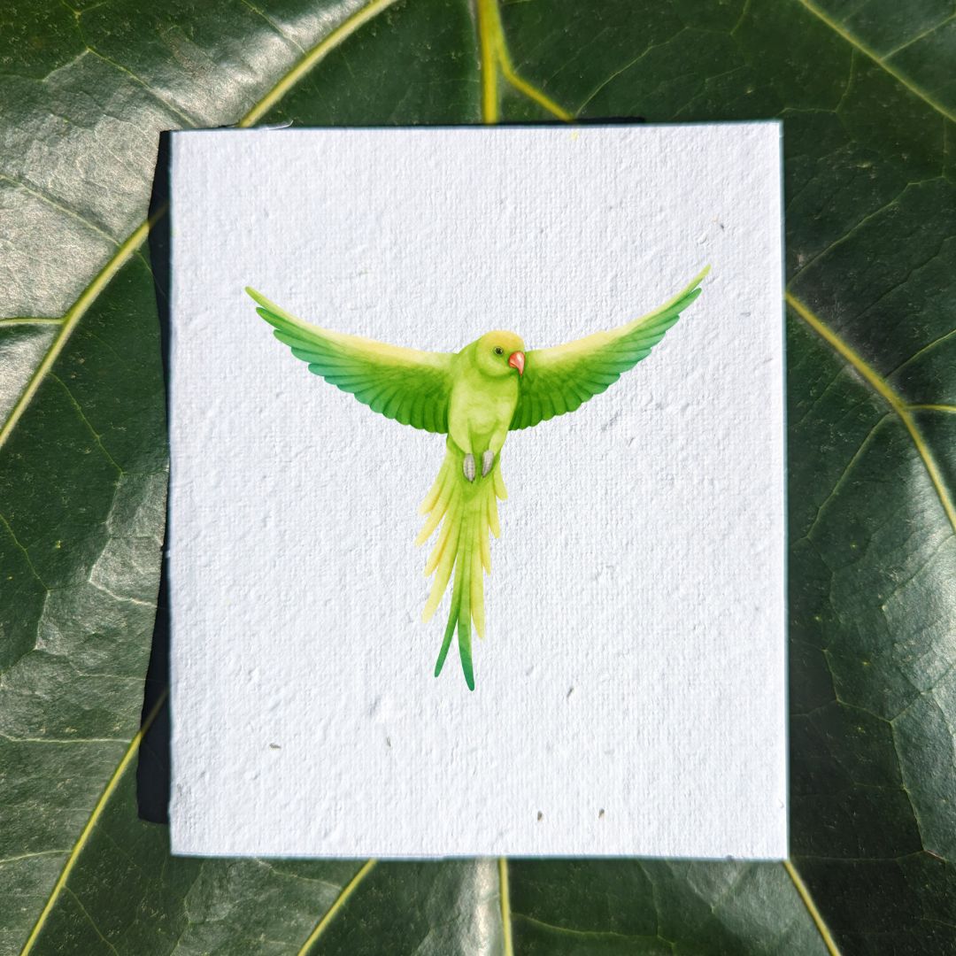 Green parrot flying on card