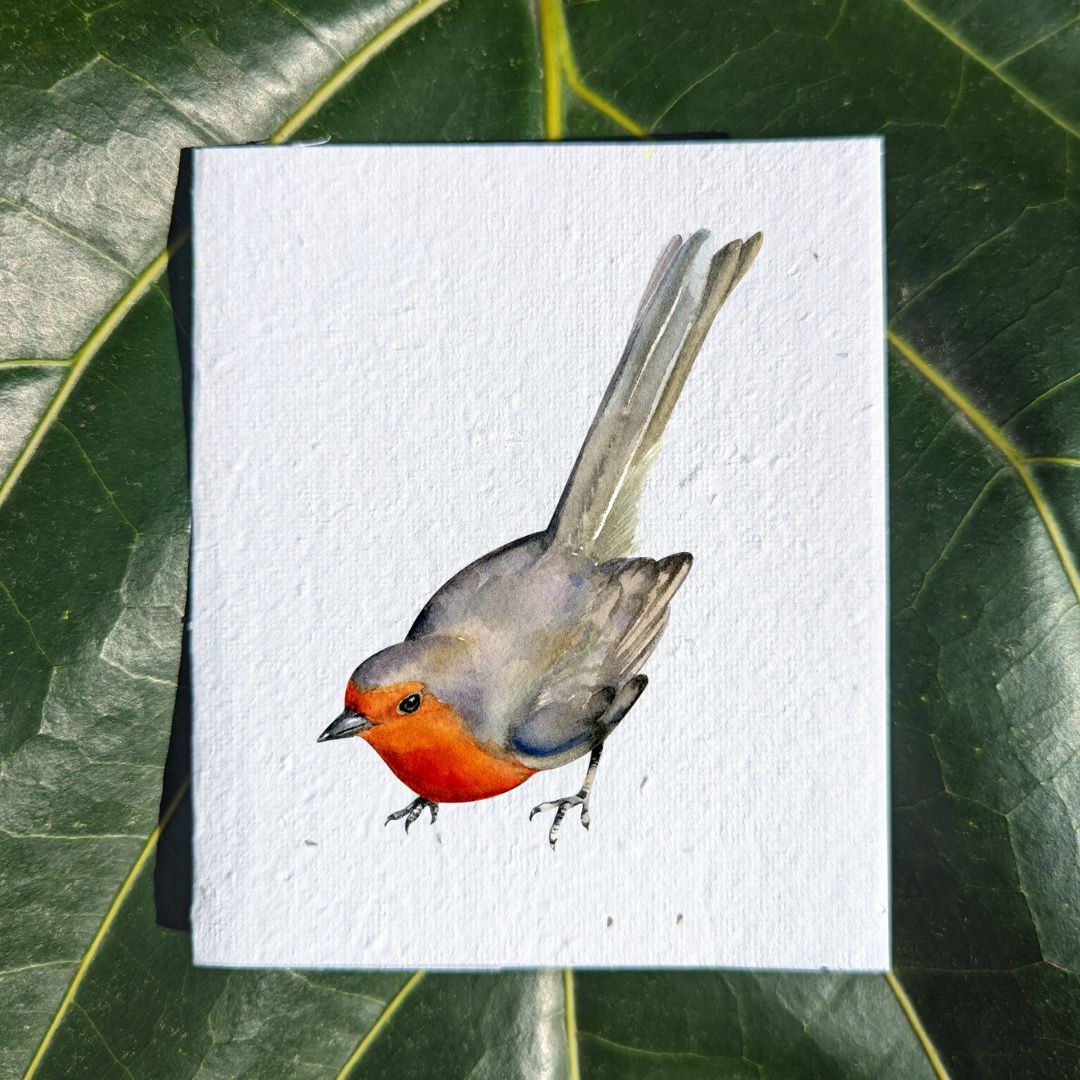 Red breast swallow on card watercolor