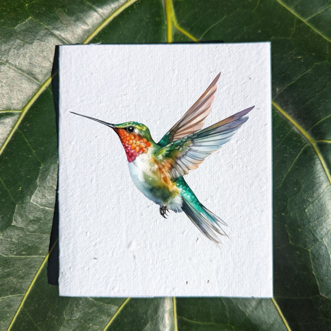 watercolor colorful hummingbird