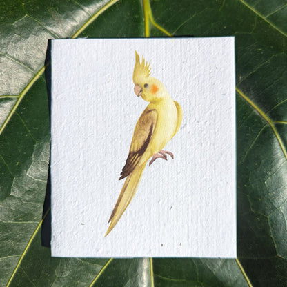 Yellow cockatoo card