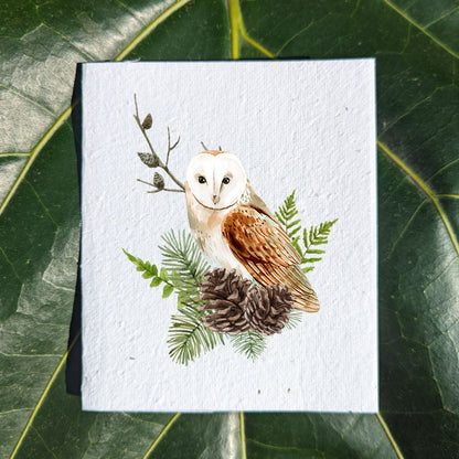 Card Owl on tree