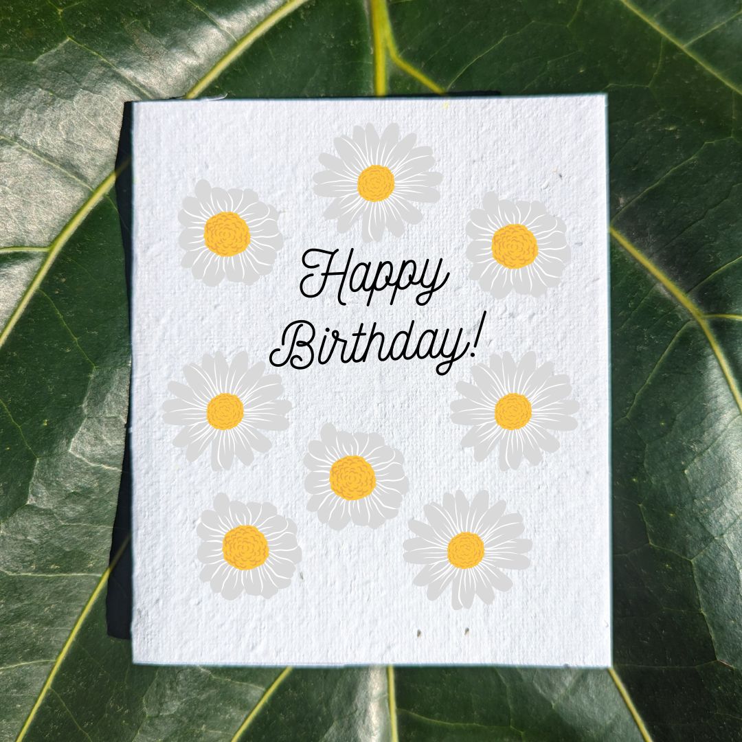 Yellow and white daisies birthday card