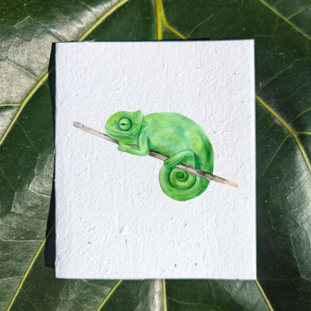 Wildlife card "Chameleon"