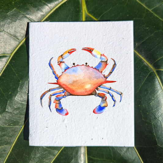 Wildlife card "Crab"