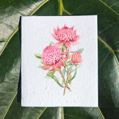 Three pink australian flowers birthday card