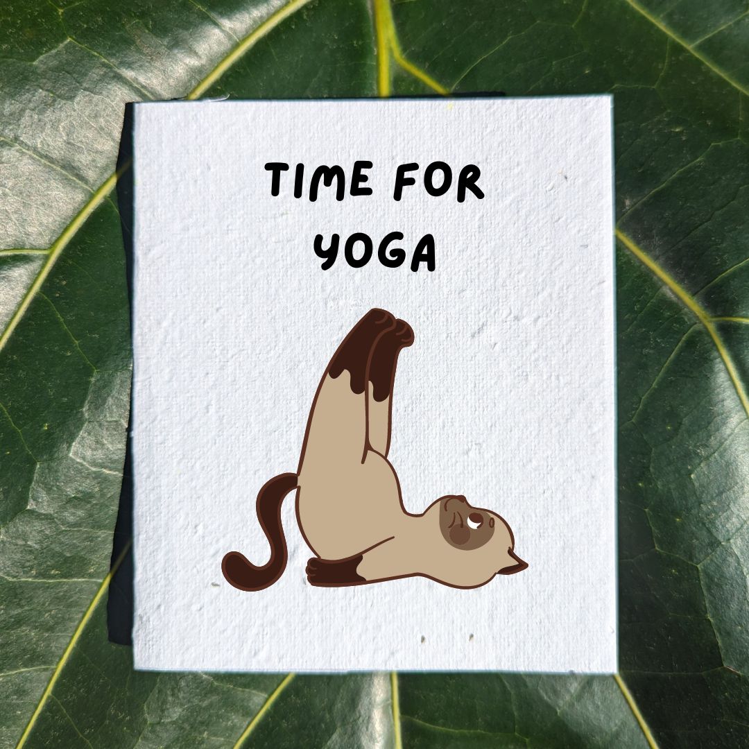 Fun card "Cat yoga"