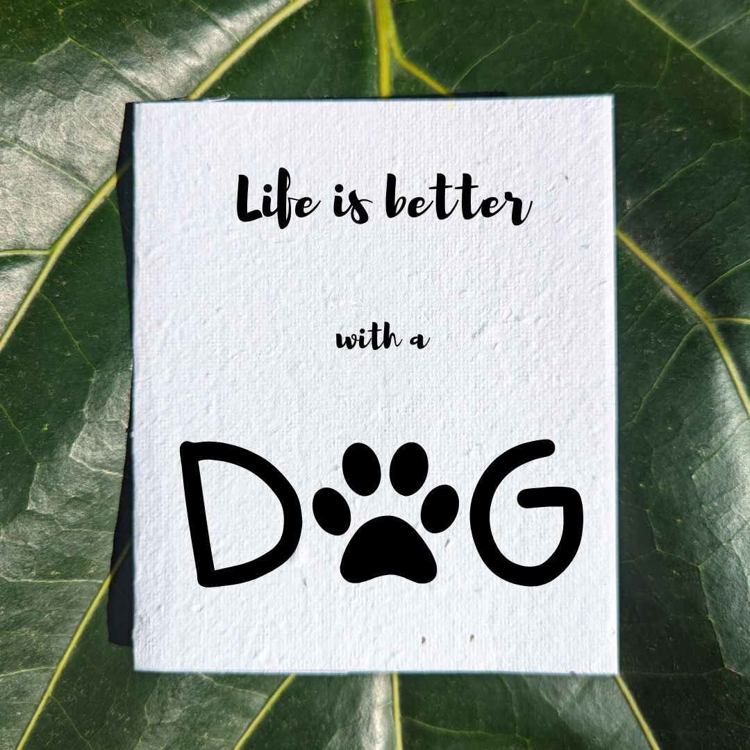 Fun card "Dog life"