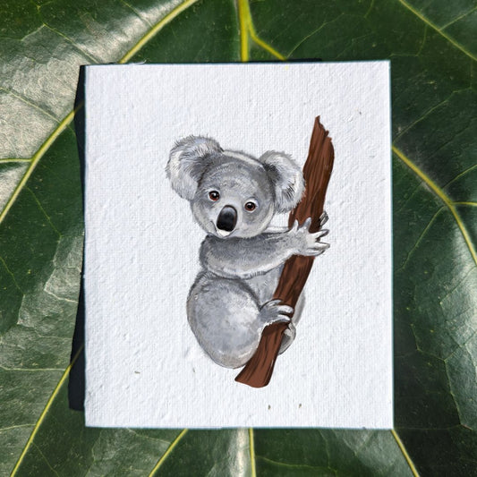 Wildlife card "Koala"