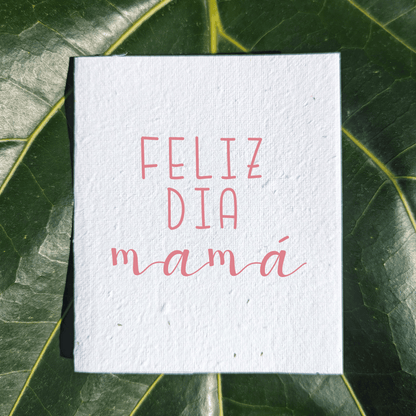 Dia de la mama