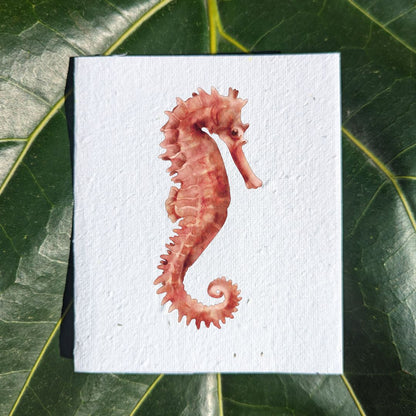 Wildlife card "Seahorse"