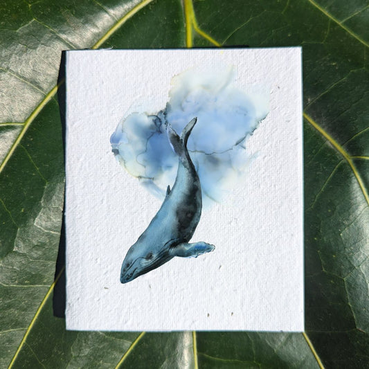 Wildlife card "Whale"